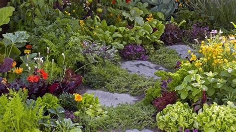 The low-maintenance edible garden for lazy gardeners - BBC Food