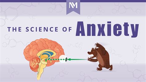 The Science of Anxiety (Infographic) | Northwestern Medicine