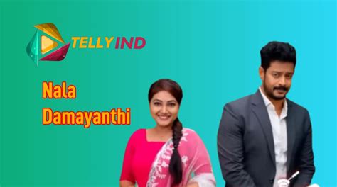 Nala Damayanthi Zee Tamil Serial Actors name, Cast, Story, Wiki - Tellyind