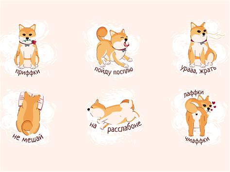 Shiba Inu sticker pack by Polina Cherkasova on Dribbble