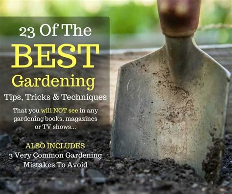 23 Gardening Hacks, Tricks, & Tips (Plus: 3 Gardening Mistakes To Avoid)