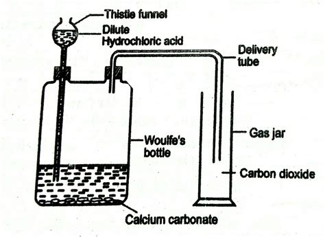 How is Carbon dioxide prepared in a laboratory?