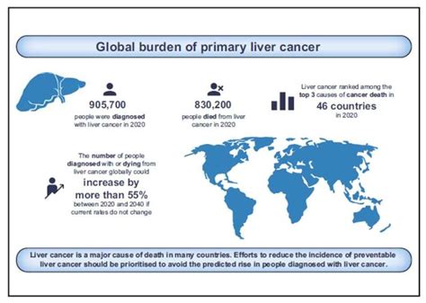 Liver cancer cases and deaths projected to rise by more than 55% by ...