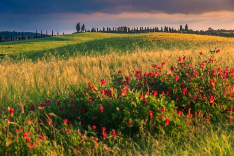 Tuscany in April: Travel Tips, Weather, & More | kimkim