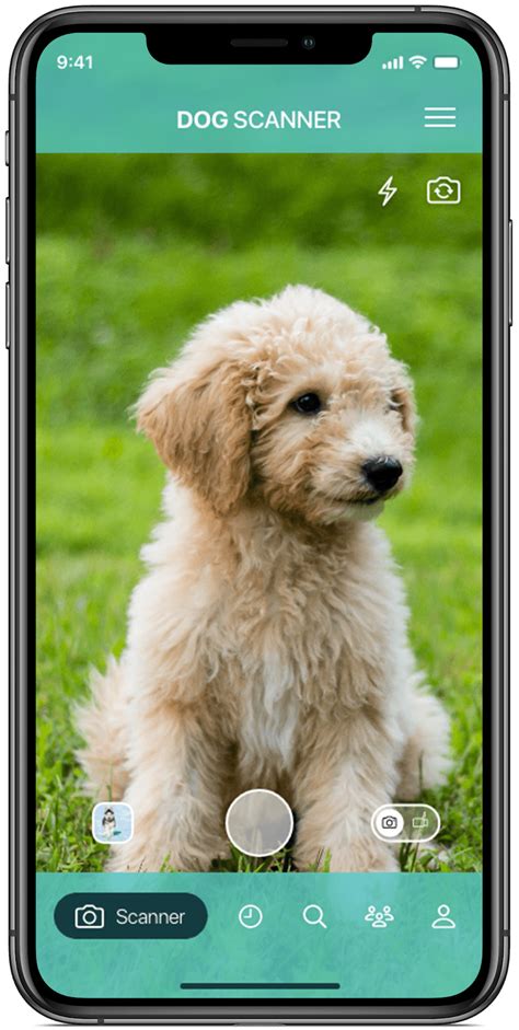 How To Find Out Your Dog Breed App