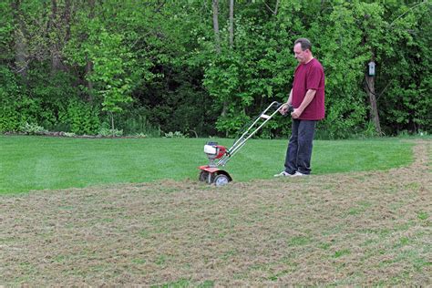 How To Dethatch A Very Large Lawn / Biological Liquid Dethatcher For Lawns Do They Work Garden ...