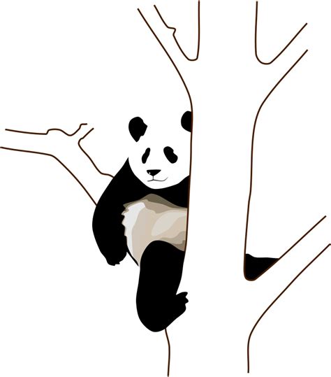 Panda on Tree Clip Art Image - ClipSafari