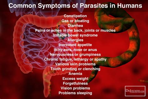 Got Parasites? – Humbleweed