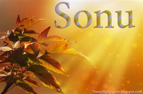 Sonu Name Wallpapers Sonu ~ Name Wallpaper Urdu Name Meaning Name Images Logo Signature