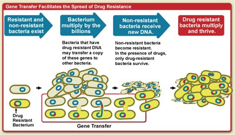 Causes of Antimicrobial (Drug) Resistance | NIH: National Institute of ...