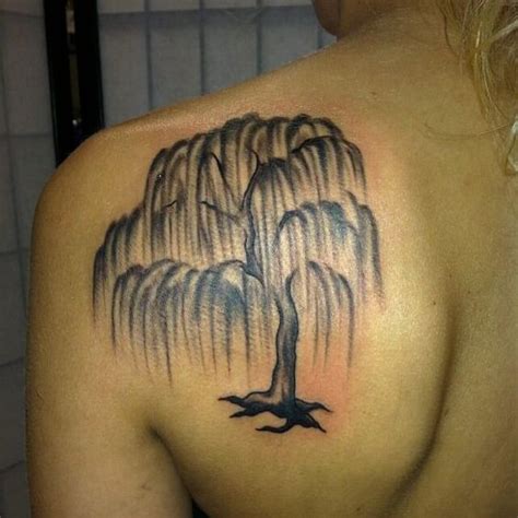 15 Best willow tree tattoo designs