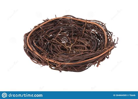 Bird Nest Isolated stock image. Image of wildlife, avian - 264664505