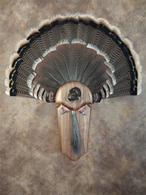 Deluxe Turkey Tail Fan Mount. | Turkey mounts, Turkey fan, Taxidermy