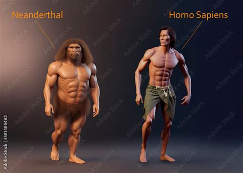 Ilustrace „Neanderthal vs. Homo Sapiens comparison, antropology ...