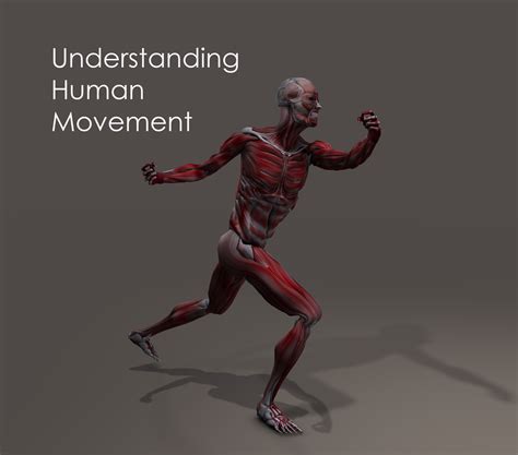 ANATOMY AND FUNCTIONAL ANATOMY BEHIND HUMAN MOVEMENT | Pinnacle