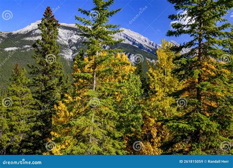 Scene of Forests and the Canadian Rocky Mountains in Autumn, Banff ...