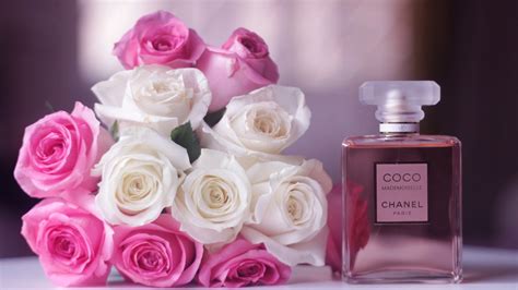 CHANEL COCO-Brand perfume wallpapers Preview | 10wallpaper.com