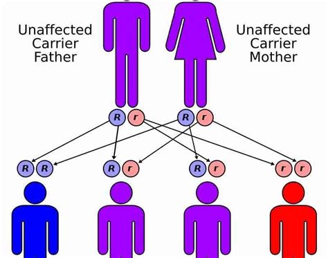 Thalassemia Minor