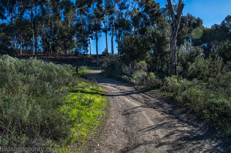 East Shepherd Canyon - Hiking San Diego County