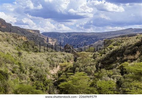 Lion King Pride Rock Mufasa Hells Stock Photo 2266969579 | Shutterstock