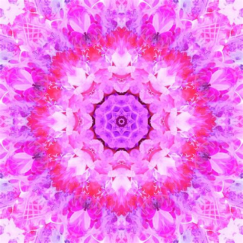 Pink Abstract Floral Background Free Stock Photo - Public Domain Pictures