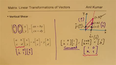 Linear Transformations Vertical and Horizontal Shear with Matrices Algebra - YouTube