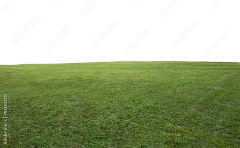 Green grass field background Stock Photo | Adobe Stock