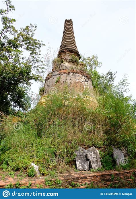 Thai Stupa Be Left Uncultivated, Ayutthaya, Thailand December 2018 ...