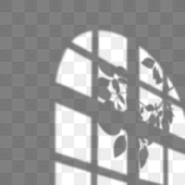 Window Shadow Overlay White Transparent, Trees Overlay Shadow On Plaid Windows, Leaves, Window ...