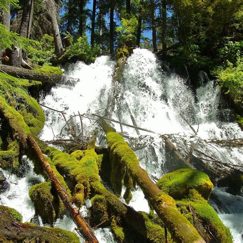 THE 15 BEST Things to Do in Roseburg - 2021 (with Photos) - Tripadvisor