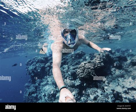 Snorkeling in coral reef in Red sea, Egypt Stock Photo - Alamy