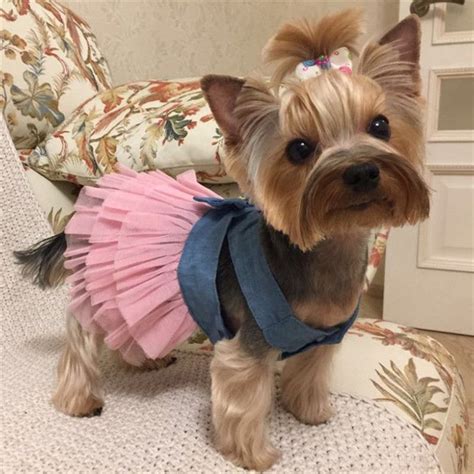 US $2.47 33% OFF|Summer Dress for Dog Pet Dog Clothes Wedding Dress ...