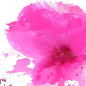 Expression of Pink. Floral Pink Painting, Pink Abstract Contemporary Canvas Art Print up to 72 ...