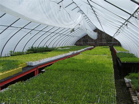 Seedling Favors - Redrock Farm