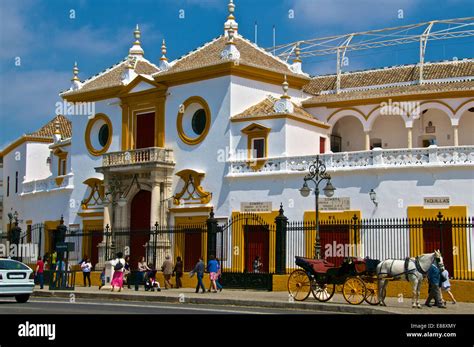 Plaza de Toros, Seville, Andalusia, Spain, Europe Stock Photo - Alamy