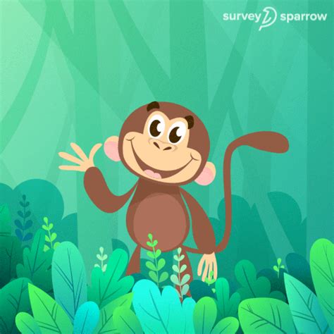 Monkey-forest GIFs - Get the best GIF on GIPHY