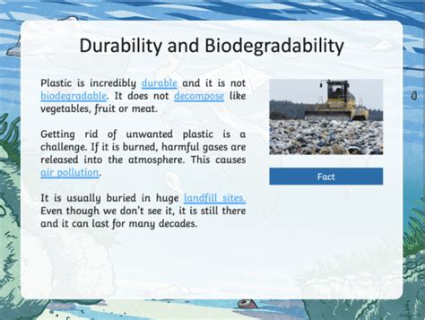 "What is biodegradable?" Teaching Wiki - Twinkl