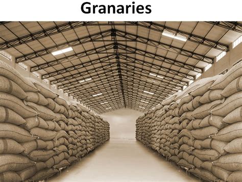 Storage of Grains - Different methods used in India - Teachoo