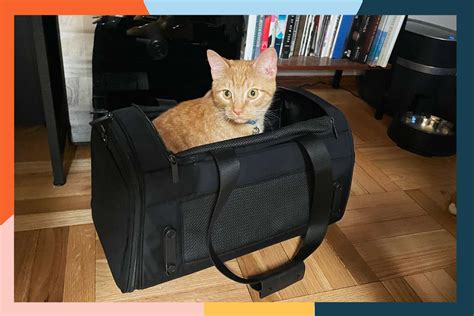 The 8 Best Cat Carriers of 2024, Tested and Reviewed