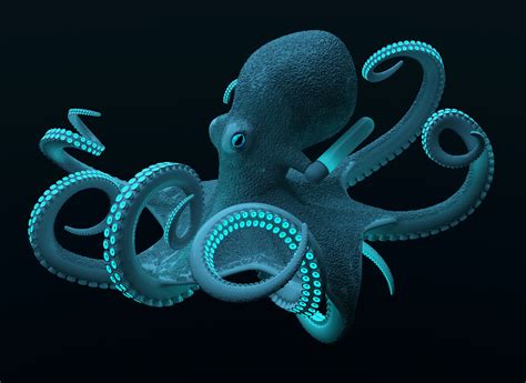 deep sea creatures by Sebastian Russ at Coroflot.com