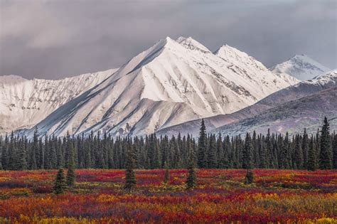 denali fall and winter | Alaska winter, Winter scenes, Denali alaska