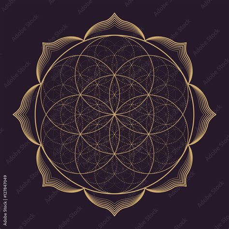 vector mandala sacred geometry illustration. Stock Vector | Adobe Stock