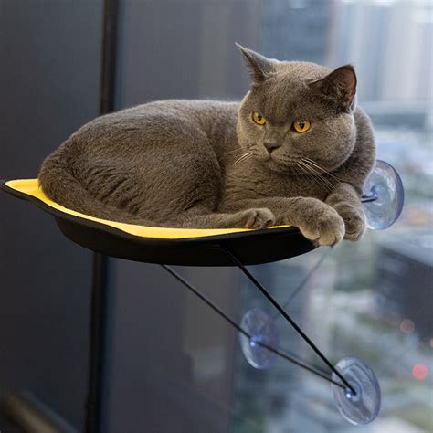 Window Perch Seat Suction Cups Cat Bed – FunnyFuzzy_UK