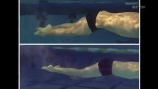 The Dolphin Kick Technique in the Butterfly Stroke