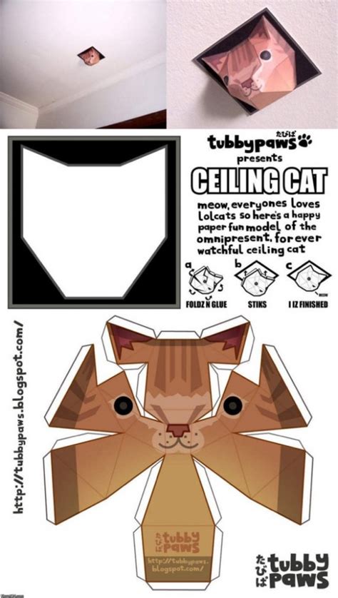 Ceiling Cat Printable - Printable Word Searches