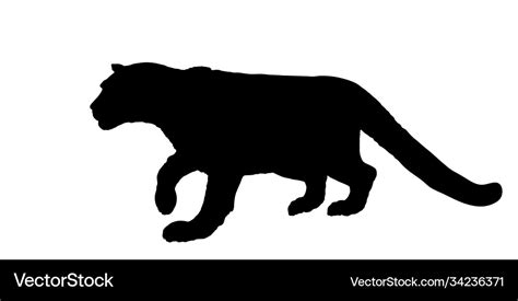 Snow leopard silhouette Royalty Free Vector Image