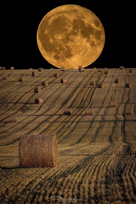 Beautiful Harvest Moon | Harvest moon, Beautiful moon, Moon pictures