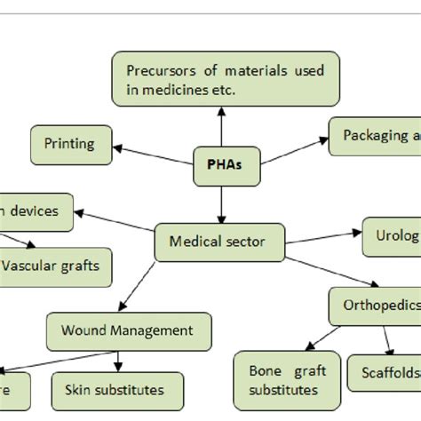 9 Biodegradation process of PHA in a natural environment. | Download Scientific Diagram