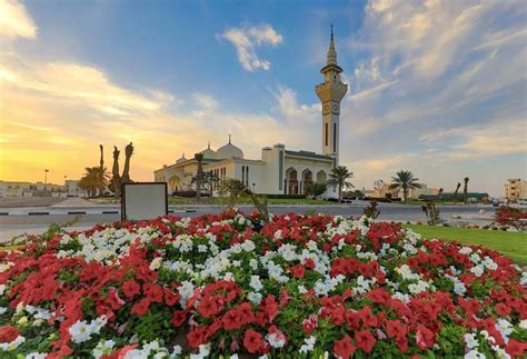 2000 mosques in Qatar ready to receive worshippers in Ramadan - Doha ...