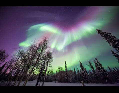 The Northern Lights above the Steese Highway, Fairbanks in Alaska ...